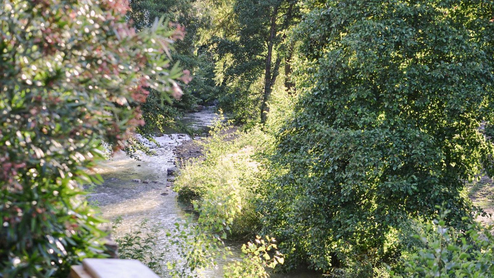 Gites De La Soulondre Lodève 外观 照片