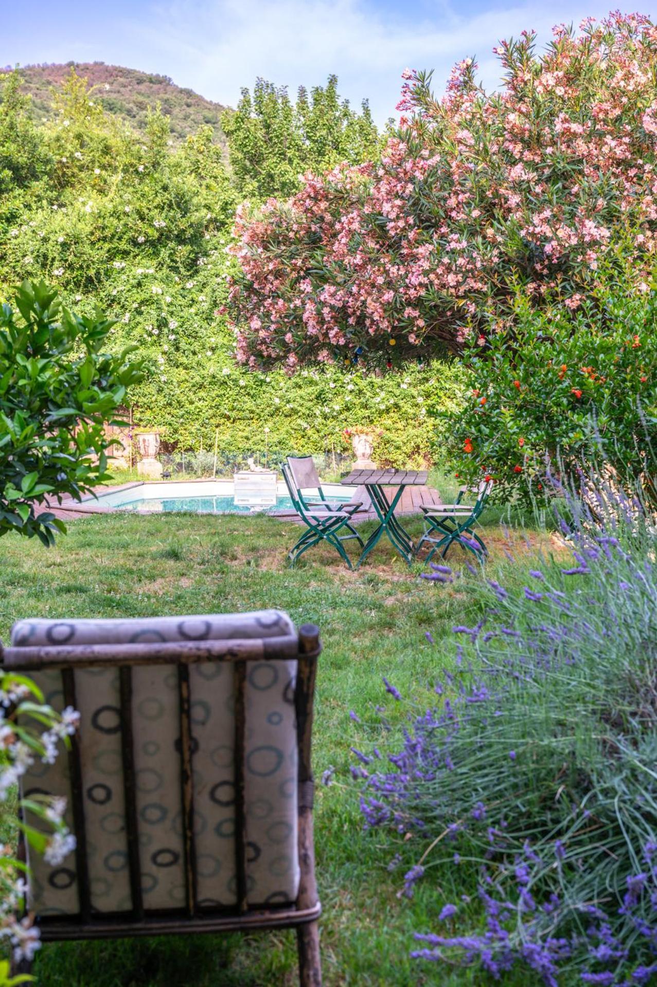 Gites De La Soulondre Lodève 外观 照片